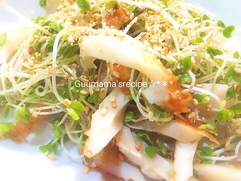 超特急おつまみ♡スプラウトとちくわのサラダ